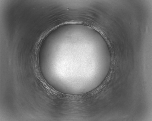 X0000075360337200609080844