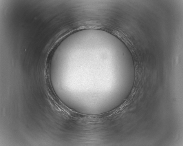X0000075360338200609080844