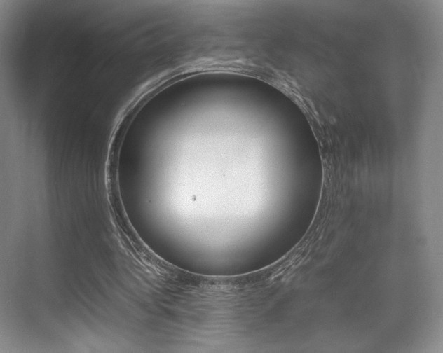 X0000075360340200609080844