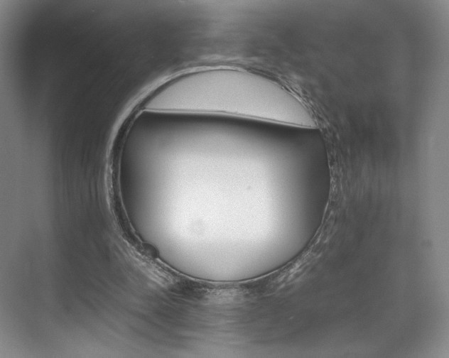 X0000075360342200609080844
