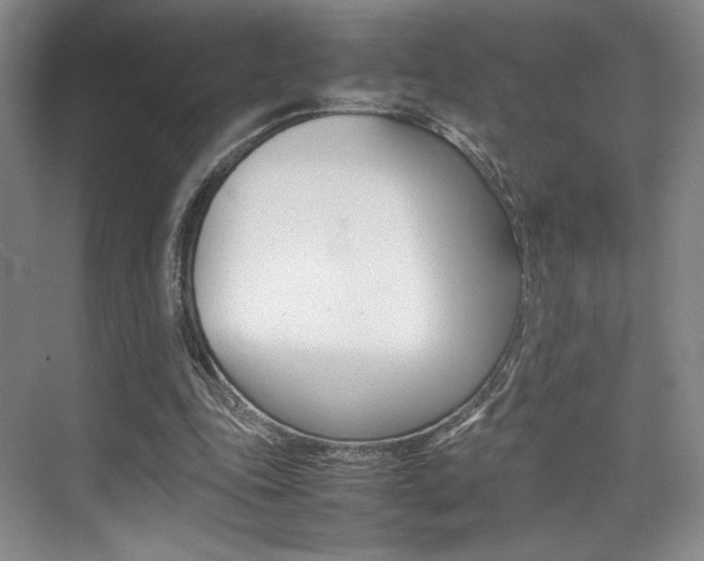 X0000075360343200609080844