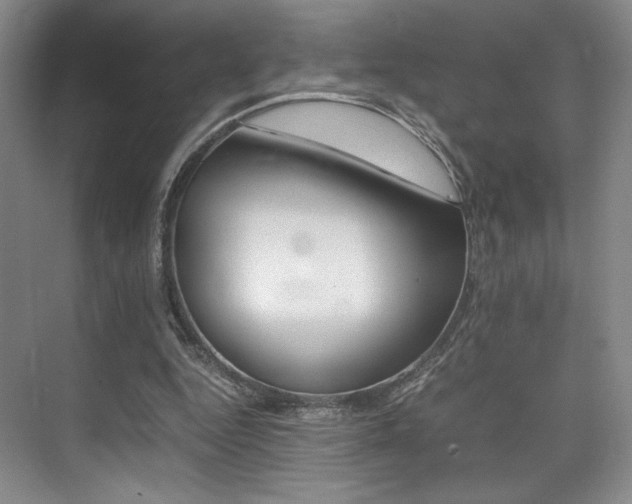 X0000075360344200609080844