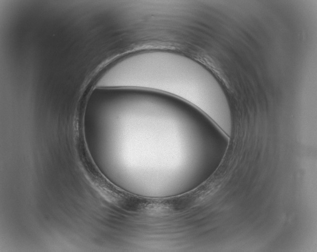 X0000075360348200609080844