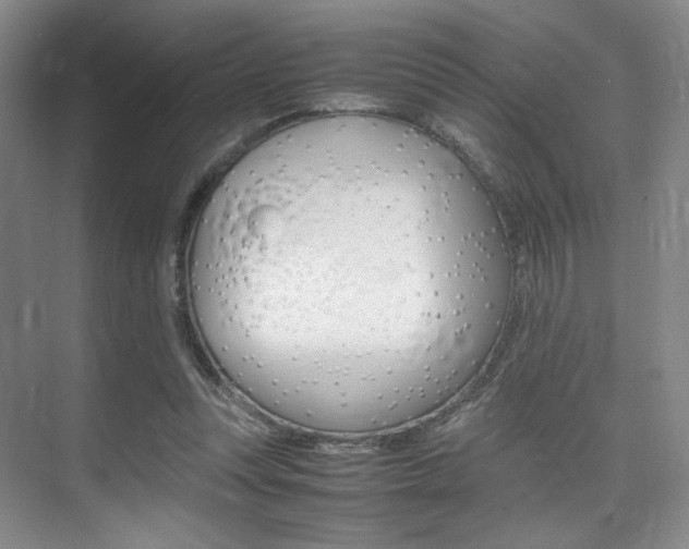 X0000075360351200609080844