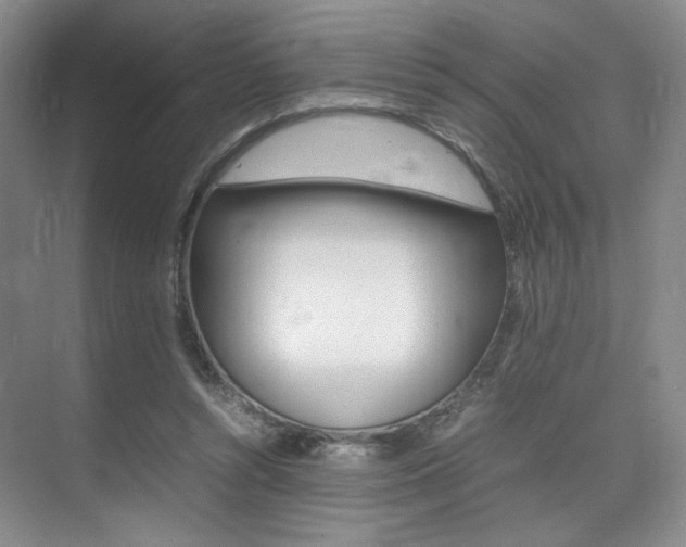 X0000075360352200609080844