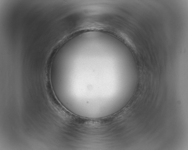 X0000075360354200609080844