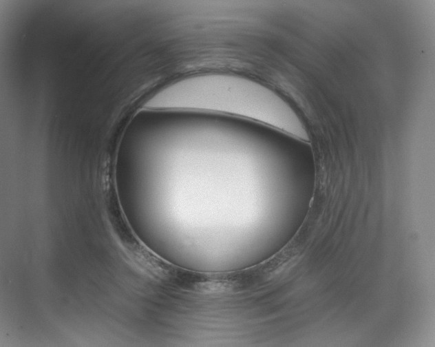 X0000075360356200609080844