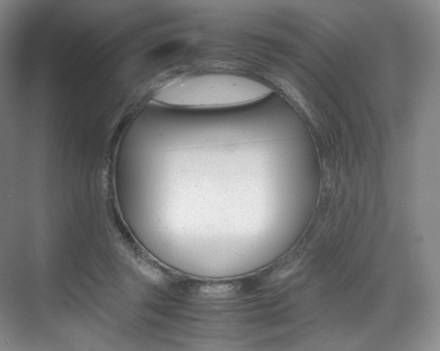 X0000075360357200609080844