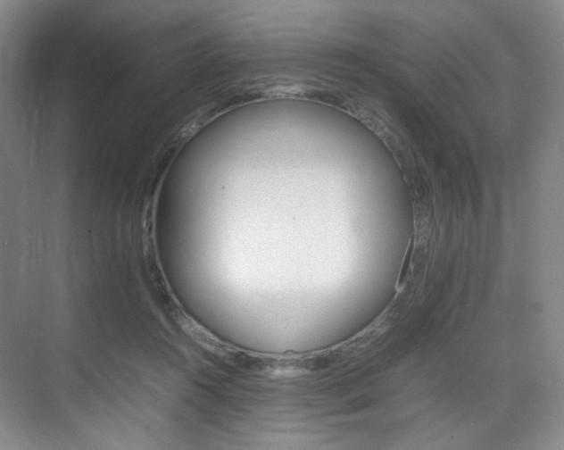 X0000075360360200609080844