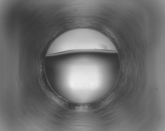 X0000075360362200609080844