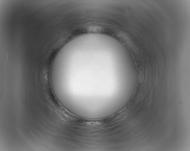 X0000075360363200609080844