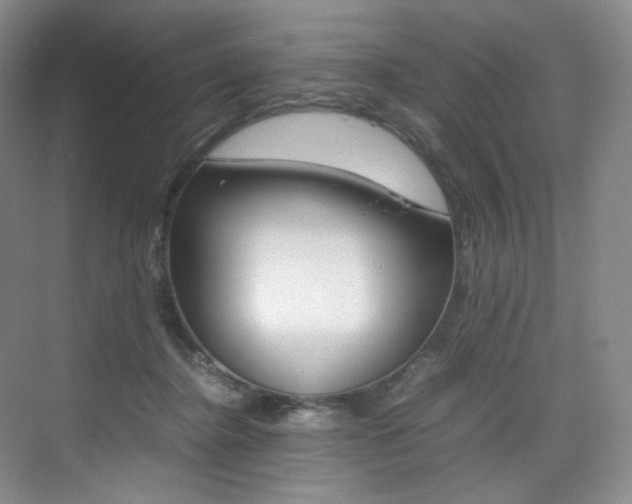 X0000075360364200609080844
