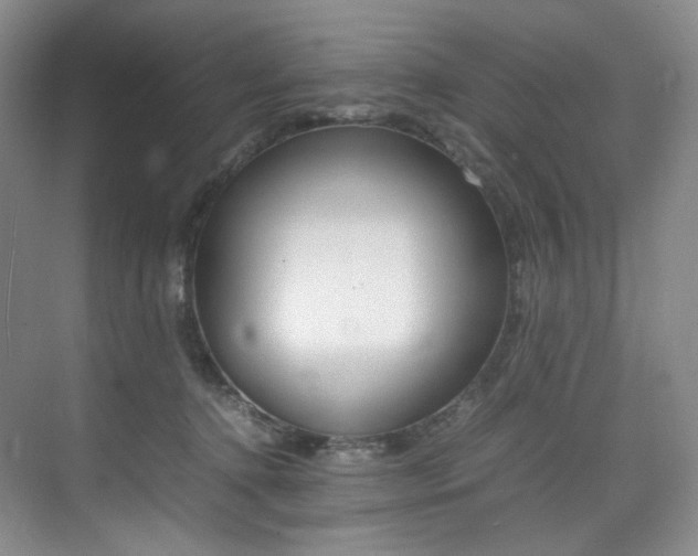 X0000075360368200609080845
