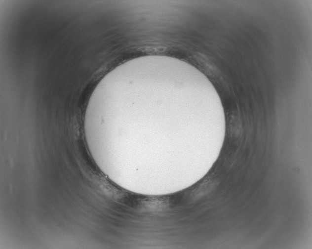 X0000075360370200609080845