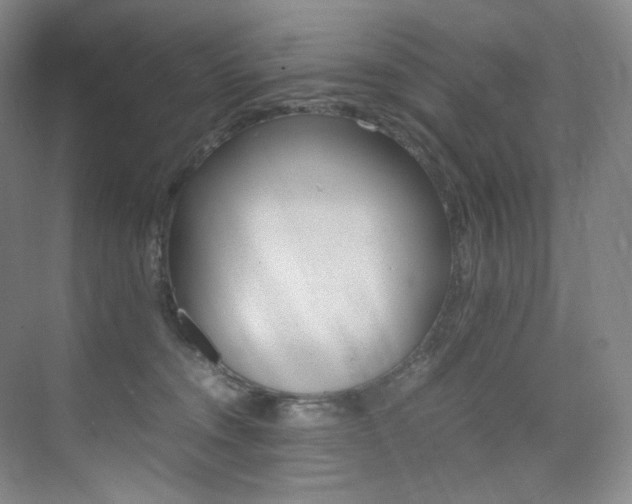X0000075360372200609080845