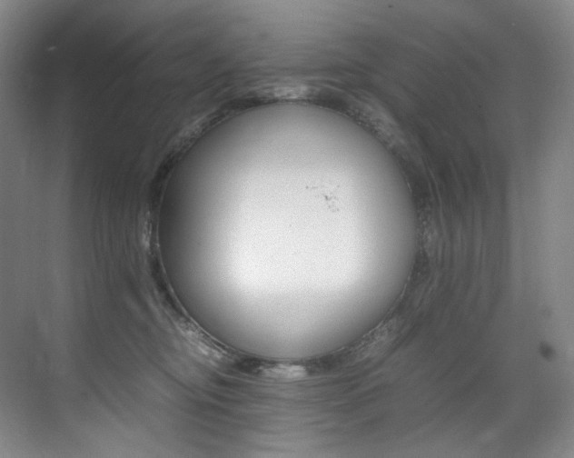 X0000075360374200609080845