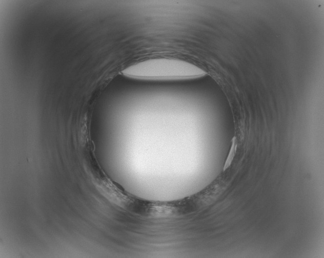 X0000075360376200609080845