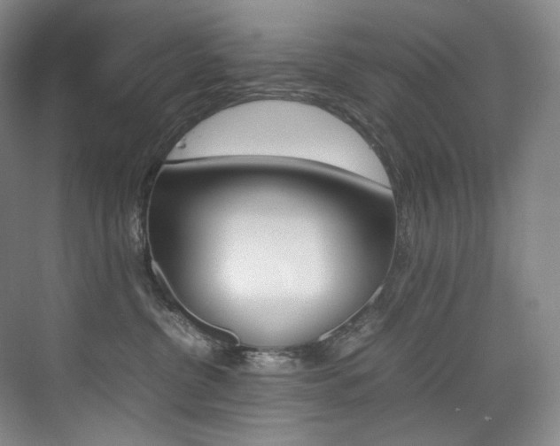 X0000075360380200609080845
