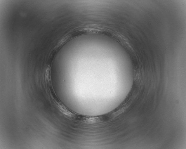 X0000075360382200609080845