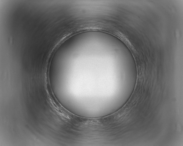 X0000075360386200609080844