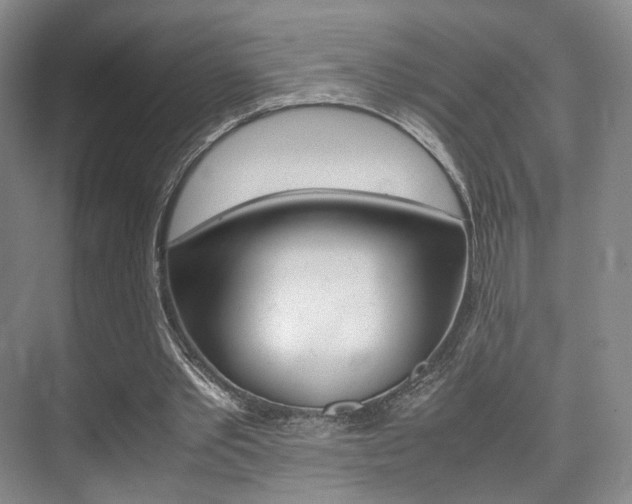 X0000075360389200609080844