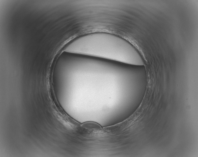 X0000075360390200609080844