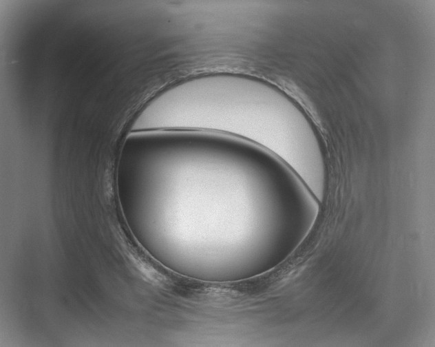 X0000075360393200609080844