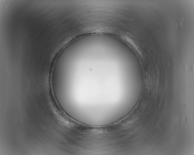 X0000075360394200609080844