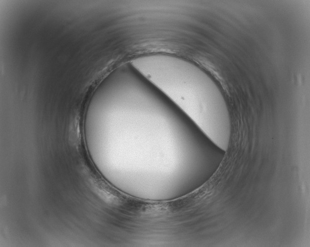 X0000075360398200609080844