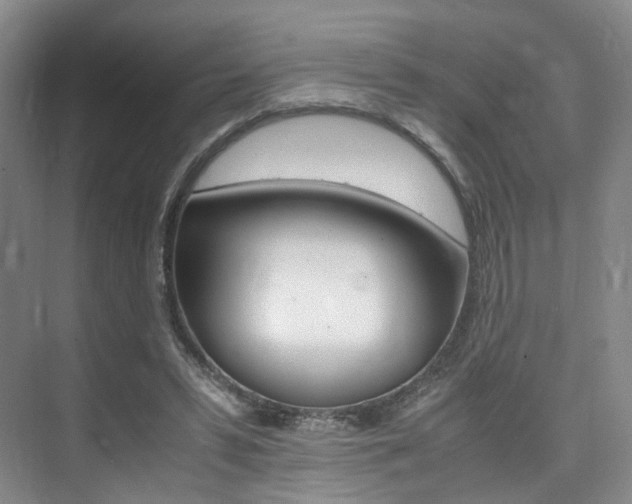 X0000075360399200609080844