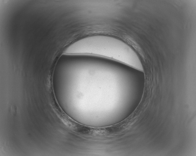 X0000075360401200609080844