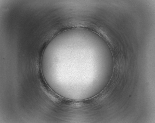 X0000075360402200609080844