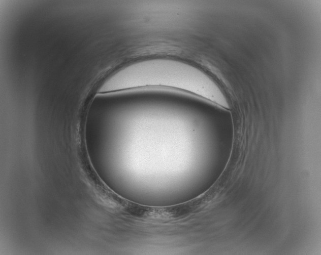X0000075360403200609080844