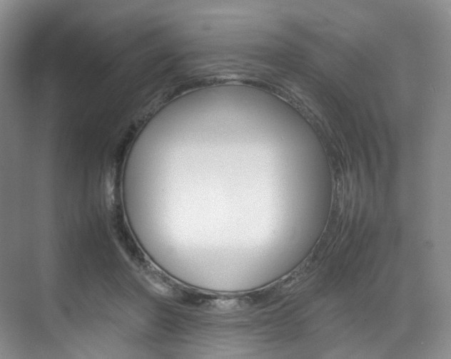X0000075360406200609080844