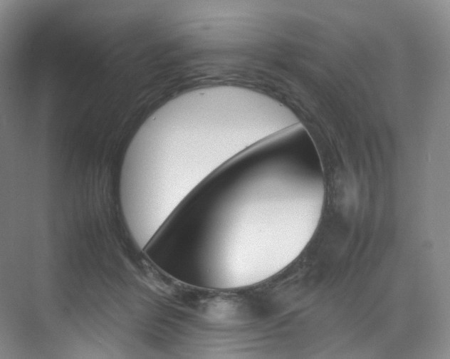 X0000075360412200609080844