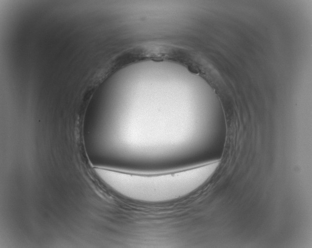 X0000075360413200609080844