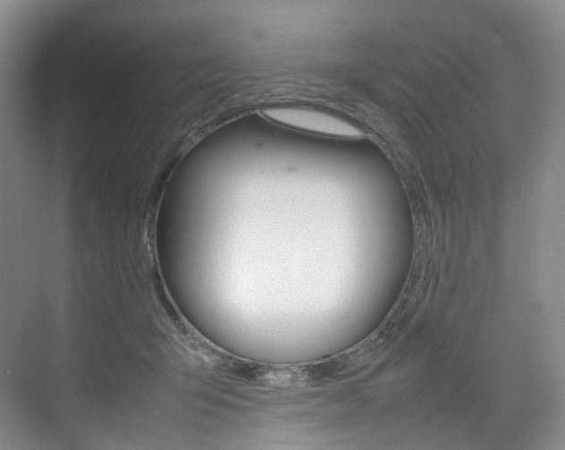 X0000075360415200609080844