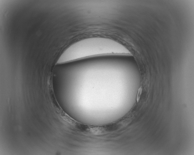 X0000075360417200609080843