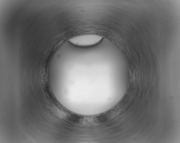 X0000075360418200609080843