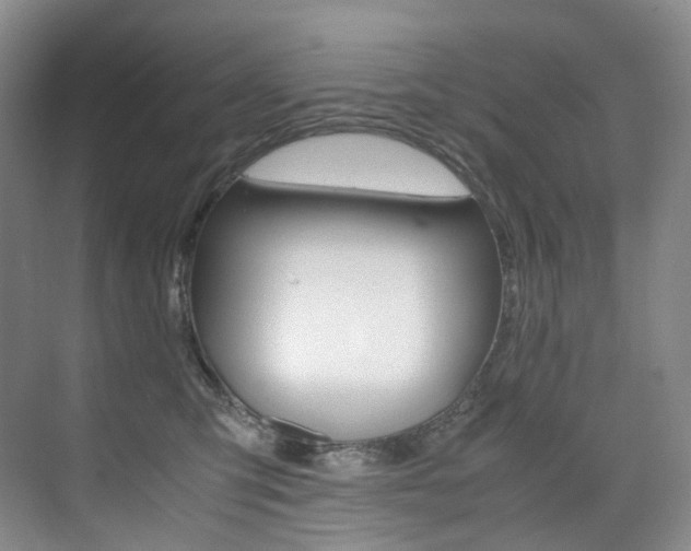 X0000075360423200609080843