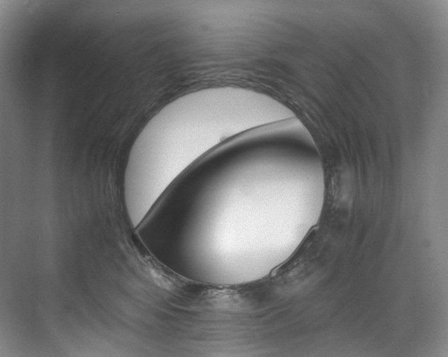 X0000075360424200609080843