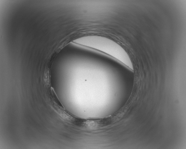 X0000075360425200609080843