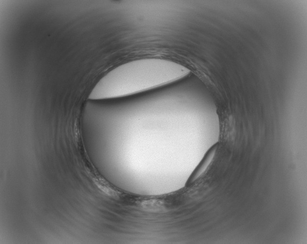 X0000075360426200609080843