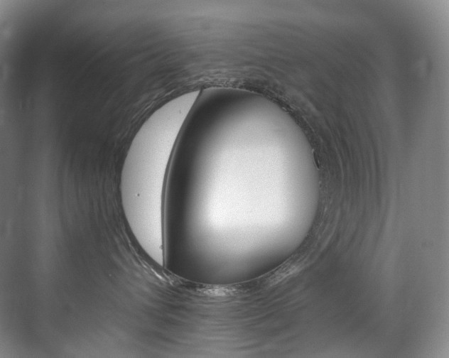 X0000075360432200609080843
