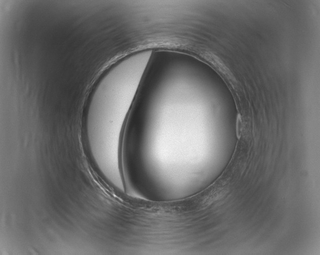 X0000075360434200609080842