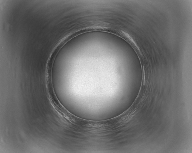 X0000075360435200609080842