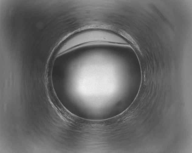 X0000075360436200609080842
