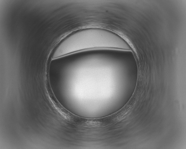 X0000075360437200609080842