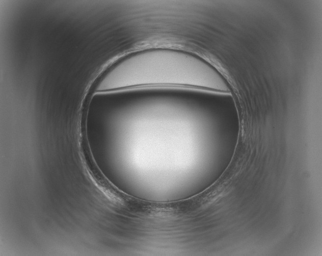 X0000075360438200609080842