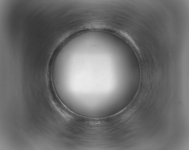 X0000075360439200609080843